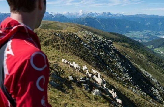 muehlheim-anterselva-di-mezzo-alto-adige (10)